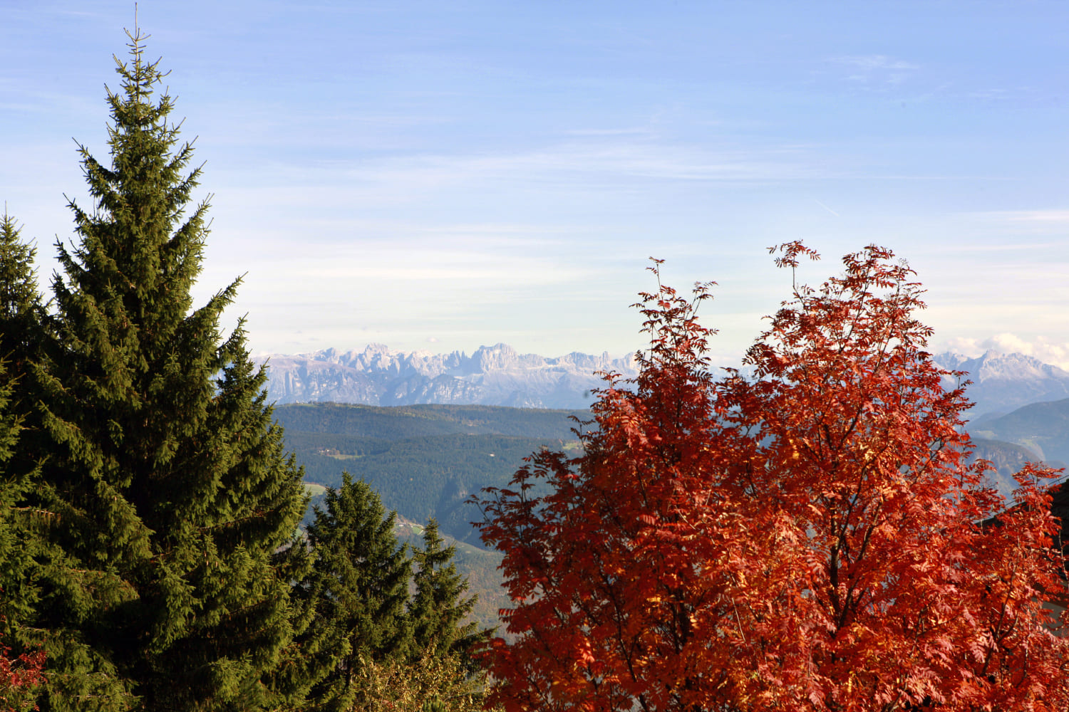 2009 Vigiljoch Autumn©georgtappeiner (4)